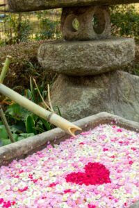 かざはやの里、花手水舎、梅、2月の春の花、三重県津市の観光・撮影スポットの画像と写真