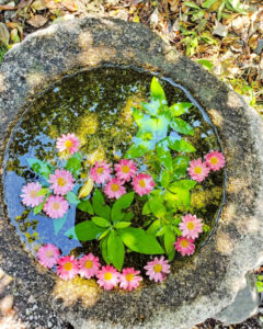 神館神社、花手水舎、5月夏、三重県桑名市の観光・撮影スポットの名所
