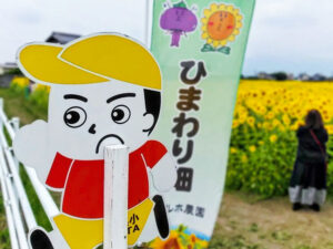 マルホ農園、ひまわり、7月の夏の花、三重県四日市市の観光・撮影スポットの名所