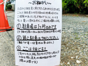 マルホ農園、ひまわり、7月の夏の花、三重県四日市市の観光・撮影スポットの名所
