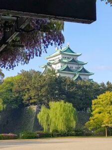 名城公園、藤、名古屋城、名古屋城、5月の夏の花。名古屋市北区の観光・撮影スポットの画像と写真