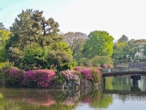 名城公園、つつじ、名古屋城、5月の夏の花。名古屋市北区の観光・撮影スポットの画像と写真