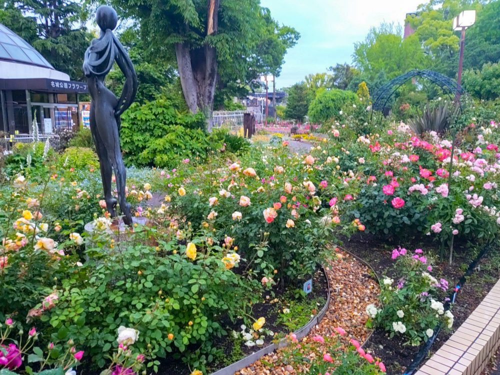 名城公園、バラ、5月夏の花、名古屋市北区の観光・撮影スポットの名所