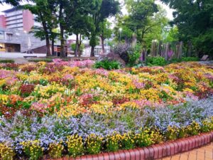 名城公園、5月夏の花、名古屋市北区の観光・撮影スポットの名所