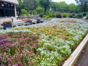 名城公園、5月夏の花、名古屋市北区の観光・撮影スポットの名所