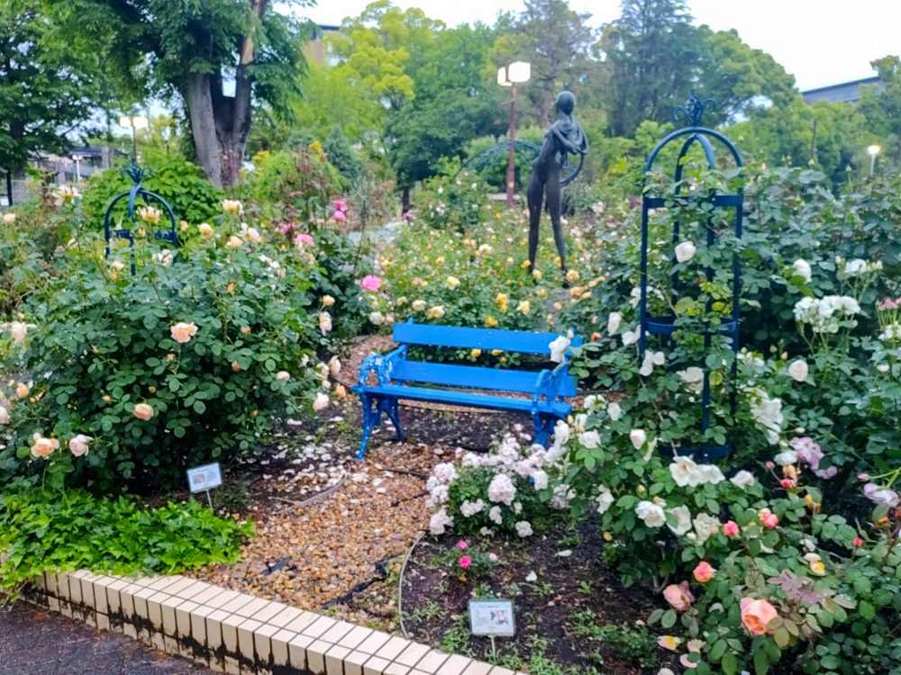 名城公園、バラ、5月夏の花、名古屋市北区の観光・撮影スポットの名所