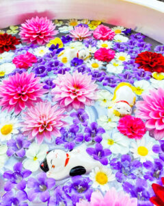 御井神社、花手水舎、5月夏、岐阜県各務原市の観光・撮影スポットの名所