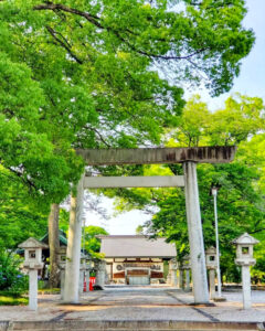 御裳神社、あじさい、6月夏の花、愛知県一宮市の観光・撮影スポットの画像と写真