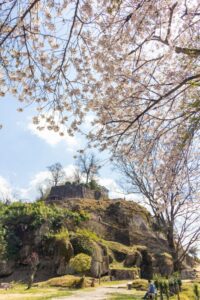 苗木城跡、桜、4月の春の花、岐阜県中津川市の観光・撮影スポットの名所