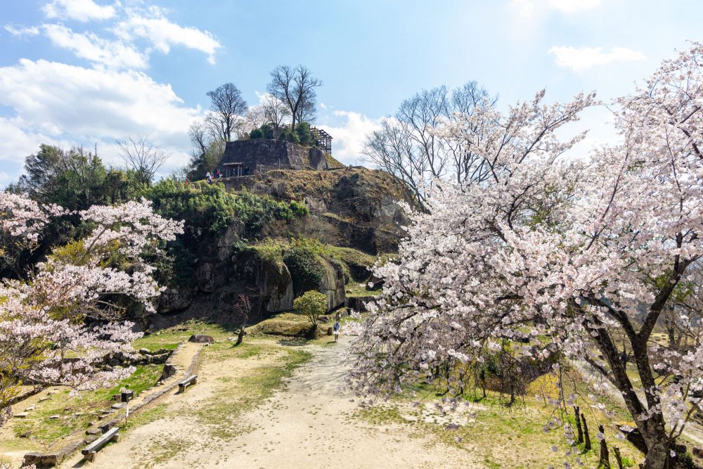 苗木城跡、桜、4月の春の花、岐阜県中津川市の観光・撮影スポットの名所