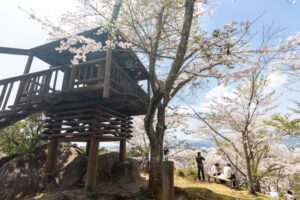 苗木城跡、桜、4月の春の花、岐阜県中津川市の観光・撮影スポットの名所