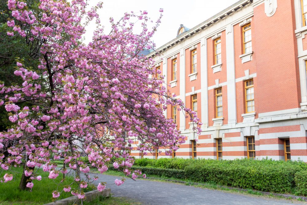 名古屋市市政資料館、八重桜、4月春の花、名古屋市東区の観光・撮影スポットの名所