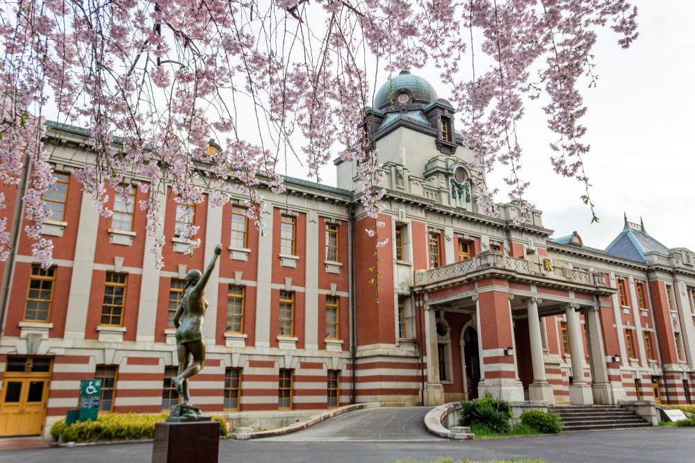 名古屋市市政資料館、しだれ桜、4月春の花、名古屋市東区の観光・撮影スポットの名所