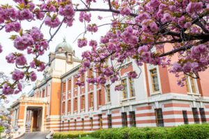名古屋市市政資料館、八重桜、4月春の花、名古屋市東区の観光・撮影スポットの名所
