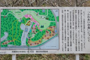 南部丘陵公園、梅、2月の春の花、三重県四日市市の観光・撮影スポットの画像と写真