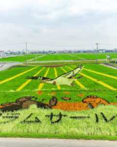 南陽町田んぼアート、7月夏、名古屋市港区の観光・撮影スポットの名所