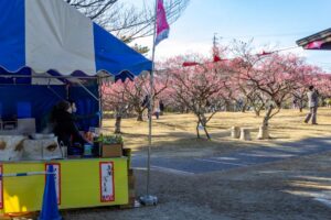 岡崎南公園　梅　愛知県岡崎市の観光・撮影スポットの写真と画像