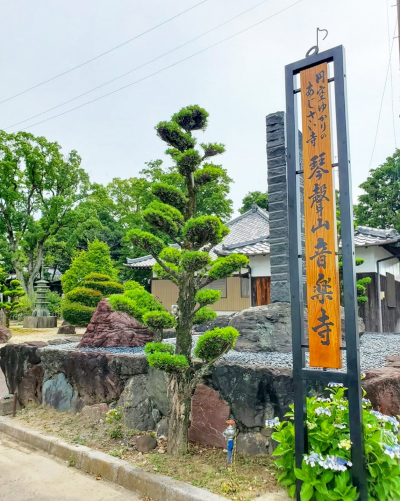 音楽寺、6月夏の花、愛知県江南市の観光・撮影スポットの名所
