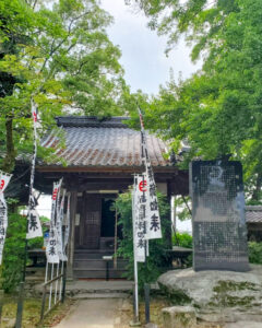 音楽寺、6月夏の花、愛知県江南市の観光・撮影スポットの名所