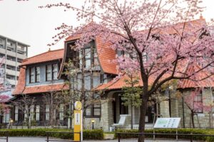 文化のみち二葉館、オオカンザクラ並木道、2月春の花、名古屋市東区の観光・撮影スポットの名所