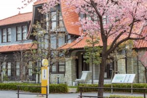 文化のみち二葉館、オオカンザクラ並木道、2月春の花、名古屋市東区の観光・撮影スポットの名所