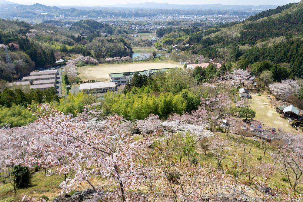 蘭丸のふるさと、桜、4月春の花、岐阜県可児市の観光・撮影スポットの名所
