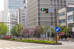 桜通り、八重桜、４月の春の花、名古屋市中区の観光・撮影スポットの名所