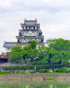 墨俣あじさい街道、墨俣一夜城、6月夏の花、岐阜県大垣市の観光・撮影スポットの名所