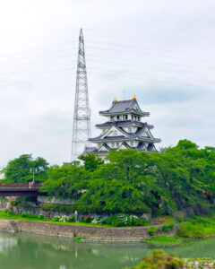 墨俣あじさい街道、墨俣一夜城、6月夏の花、岐阜県大垣市の観光・撮影スポットの名所