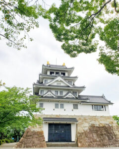 墨俣あじさい街道、墨俣一夜城、6月夏の花、岐阜県大垣市の観光・撮影スポットの名所