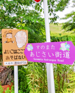 墨俣あじさい街道、あじさい、6月夏の花、岐阜県大垣市の観光・撮影スポットの名所
