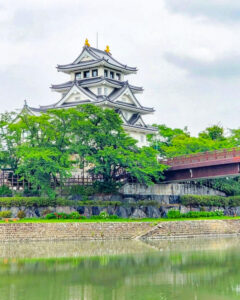 墨俣あじさい街道、あじさい、6月夏の花、岐阜県大垣市の観光・撮影スポットの名所