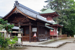 大塚性海寺歴史公園、あじさい、5月夏の花、愛知県稲沢市の観光・撮影スポットの画像と写真