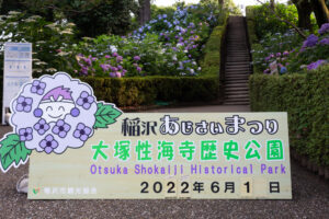 大塚性海寺歴史公園、あじさい、5月夏の花、愛知県稲沢市の観光・撮影スポットの画像と写真