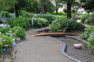 大塚性海寺歴史公園、あじさい、5月夏の花、愛知県稲沢市の観光・撮影スポットの画像と写真