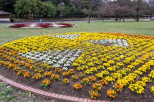 庄内緑地公園、春の花、名古屋市西区の観光・撮影スポットの名所