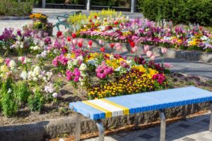 戸田川緑地、4月の春の花、名古屋市港区の観光・撮影スポットの画像と写真