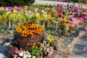 戸田川緑地、4月の春の花、名古屋市港区の観光・撮影スポットの画像と写真