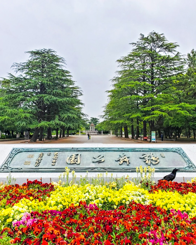 鶴舞公園、5月の夏の花、名古屋市昭和区の観光・撮影スポットの画像と写真