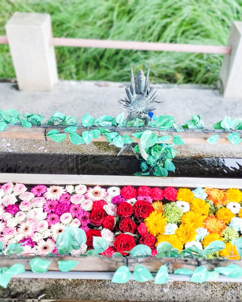 津島神社、花手水舎、6月夏、愛知県津島市の観光・撮影スポットの名所