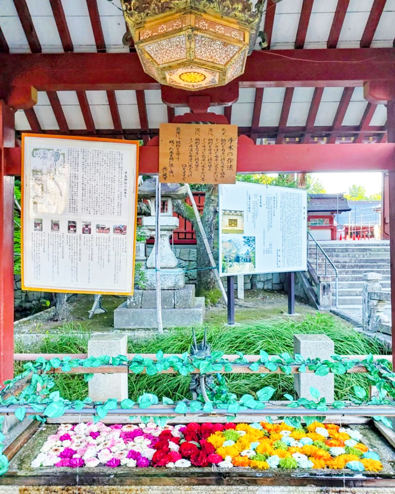 津島神社、花手水舎、6月夏、愛知県津島市の観光・撮影スポットの名所