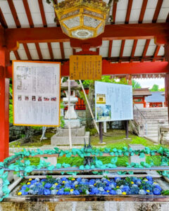津島神社、花手水舎、5月夏、愛知県津島市の観光・撮影スポットの名所