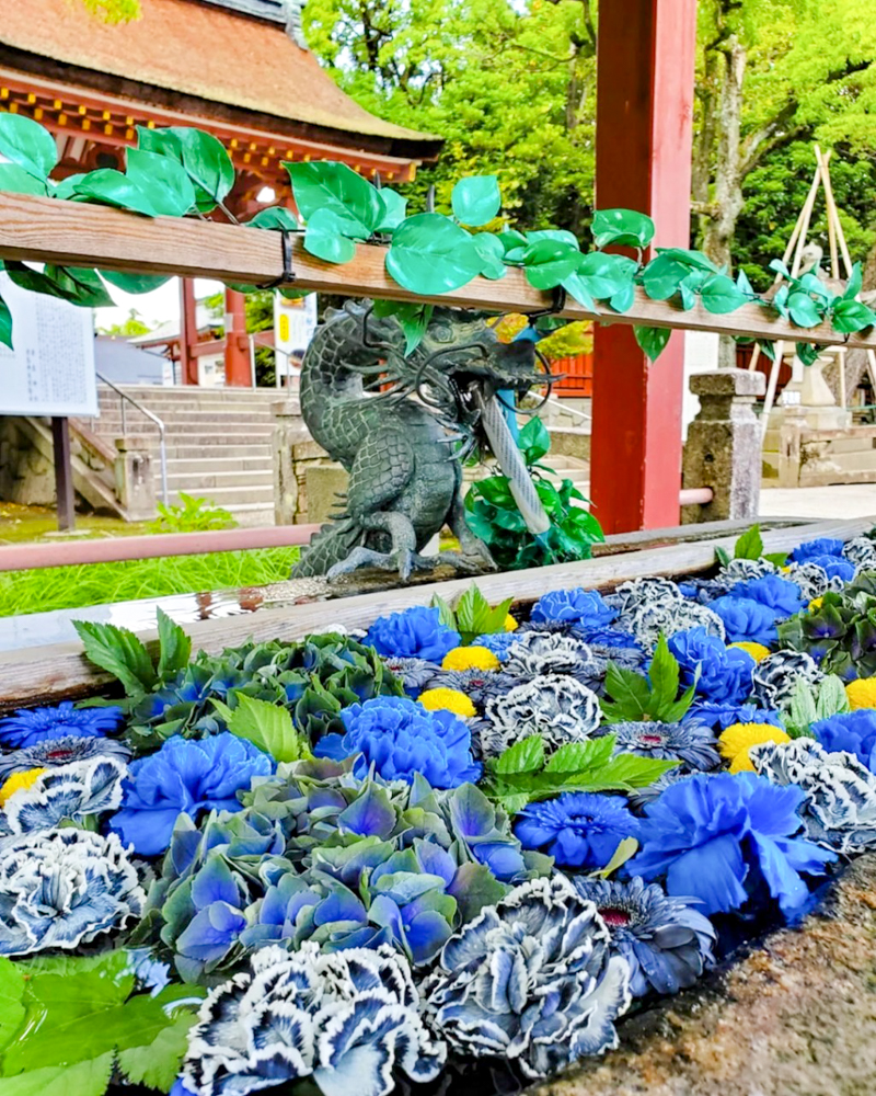 津島神社、花手水舎、5月夏、愛知県津島市の観光・撮影スポットの名所