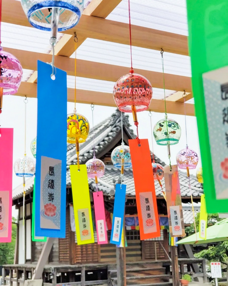 長遠寺、七夕、６月夏、愛知県岩倉市の観光・撮影スポットの名所