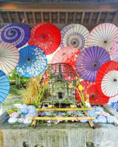 若宮神明社,、花手水舎、和傘、6月夏、愛知県一宮市の観光・撮影スポットの名所