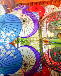 若宮神明社,、花手水舎、和傘、6月夏、愛知県一宮市の観光・撮影スポットの名所