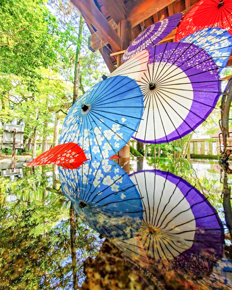 若宮神明社,、花手水舎、和傘、6月夏、愛知県一宮市の観光・撮影スポットの名所
