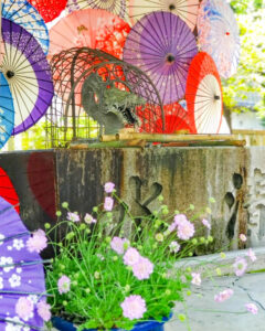 若宮神明社,、花手水舎、和傘、6月夏、愛知県一宮市の観光・撮影スポットの名所