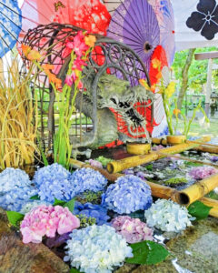 若宮神明社,、花手水舎、6月夏、愛知県一宮市の観光・撮影スポットの名所