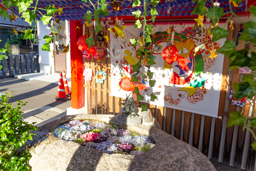 別小江神社、花手水舎、あじさい、6月夏の花、名古屋市北区の観光・撮影スポットの画像と写真